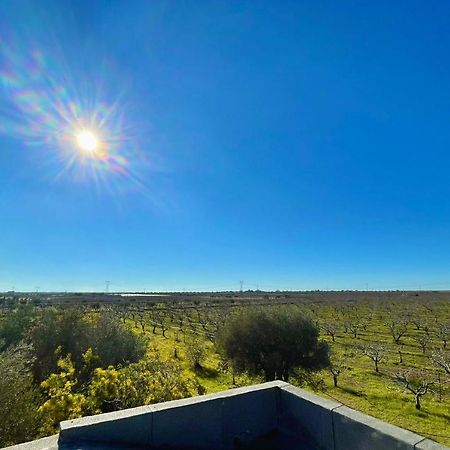 Masseria Elefante Turi Εξωτερικό φωτογραφία