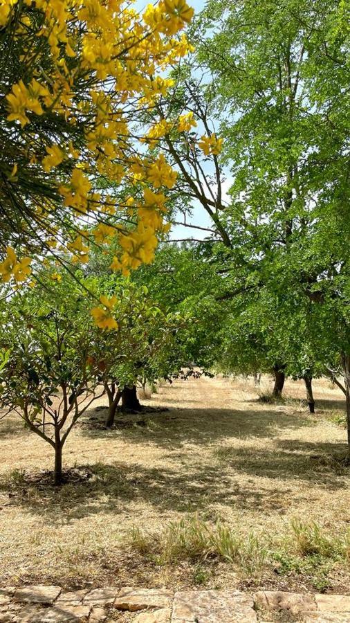 Masseria Elefante Turi Εξωτερικό φωτογραφία