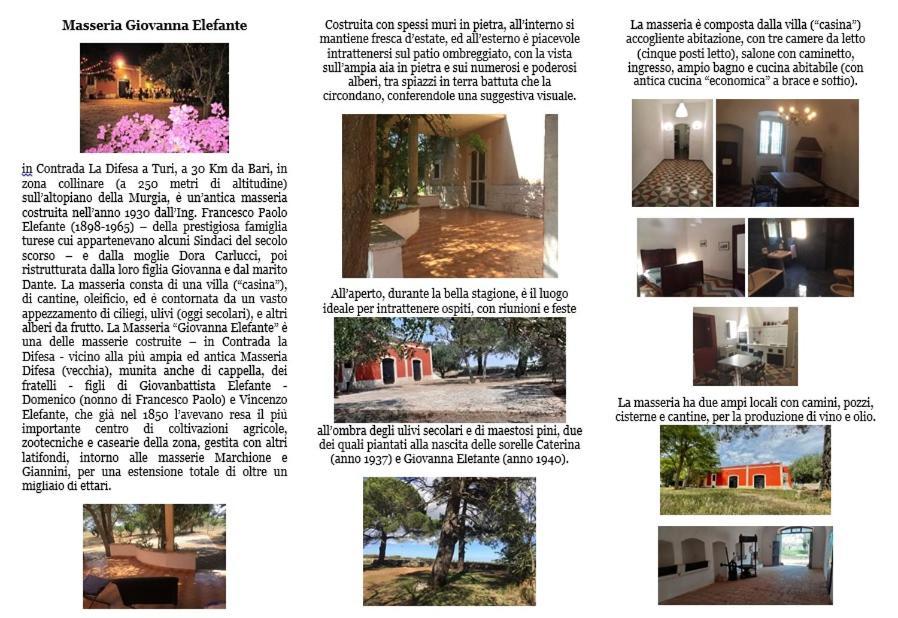 Masseria Elefante Turi Εξωτερικό φωτογραφία