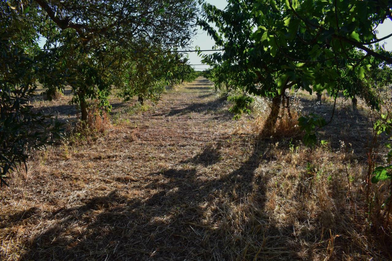 Masseria Elefante Turi Εξωτερικό φωτογραφία