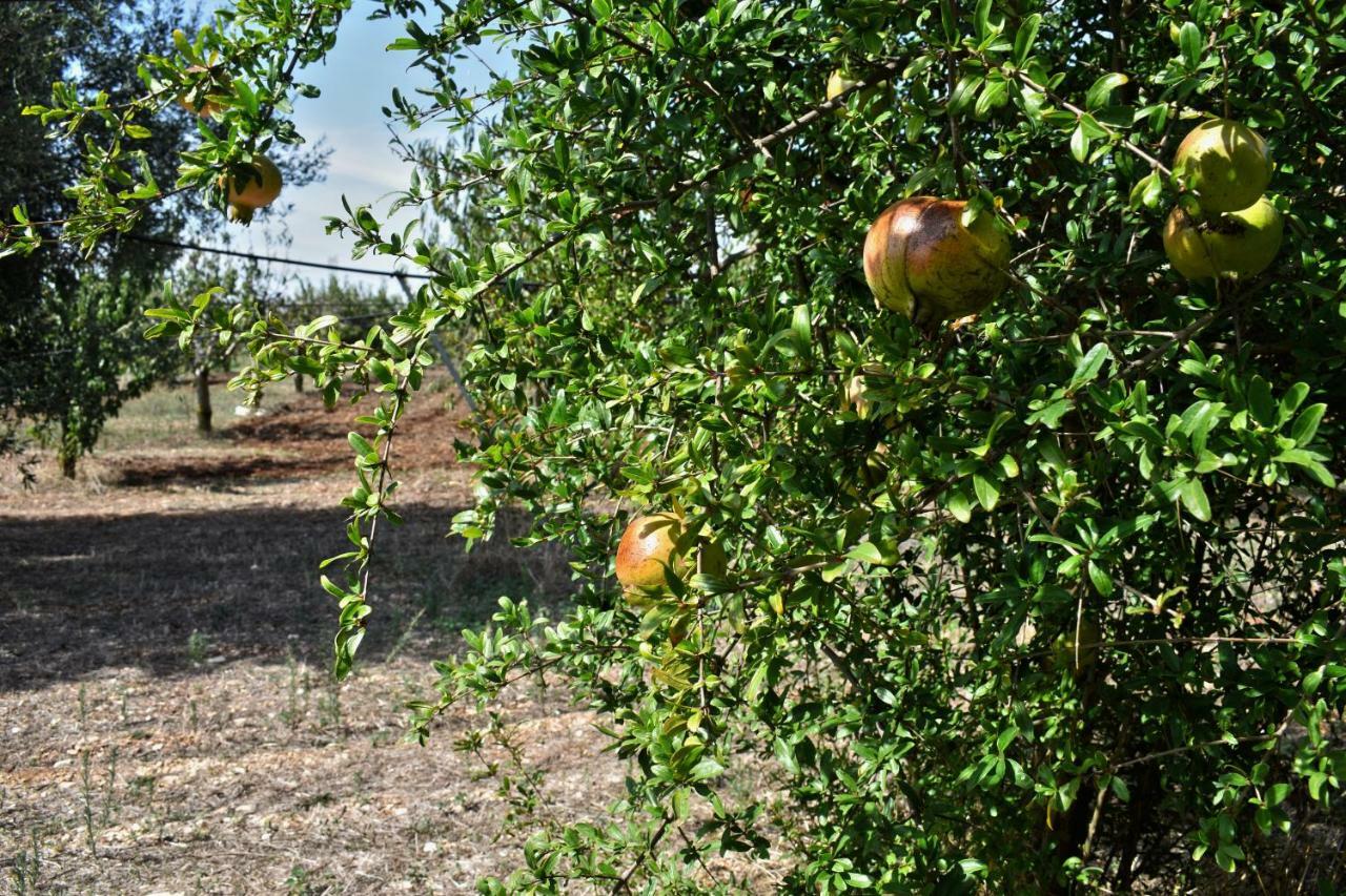 Masseria Elefante Turi Εξωτερικό φωτογραφία